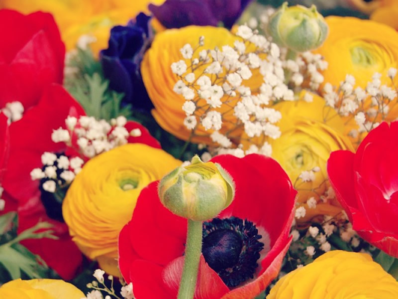 05/04/2018-4 Ways to Add Floral Touches to Your Home 